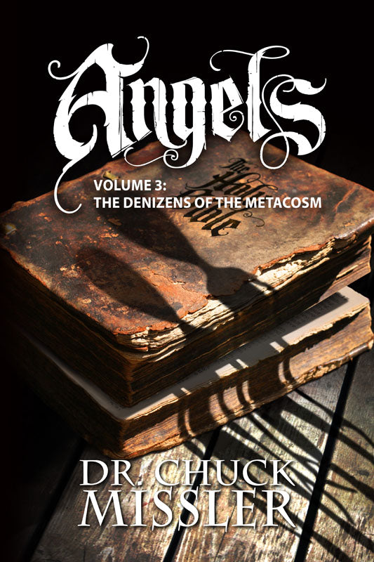Angels, Volume III: The Denizens of the Metacosm