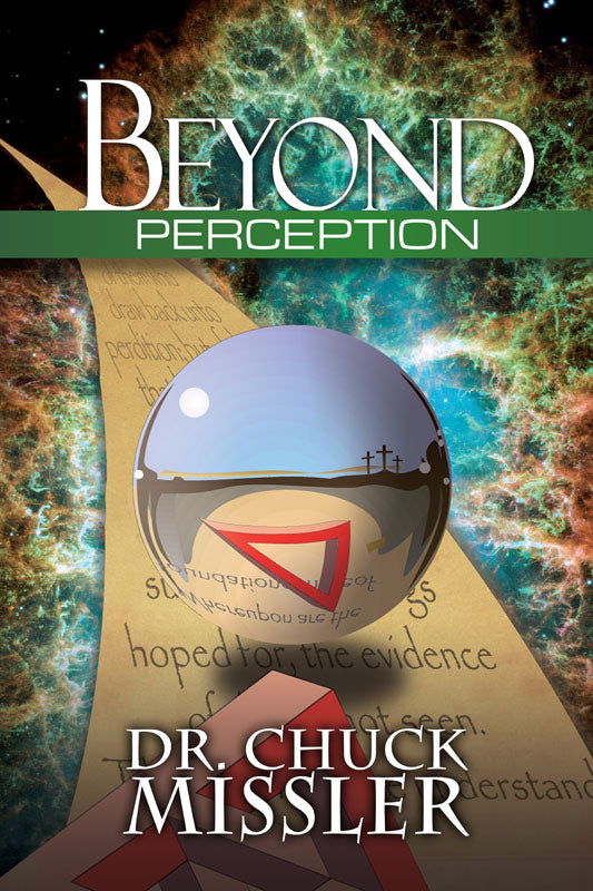 Beyond Perception - Book