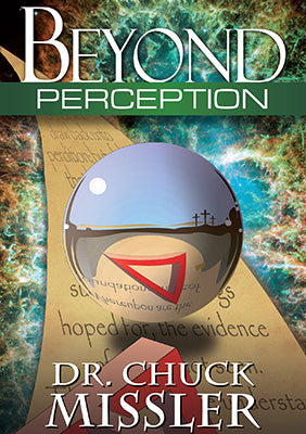 Beyond Perception - Book