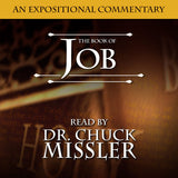 Job: An Expositional Commentary