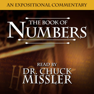 Numbers: An Expositional Commentary